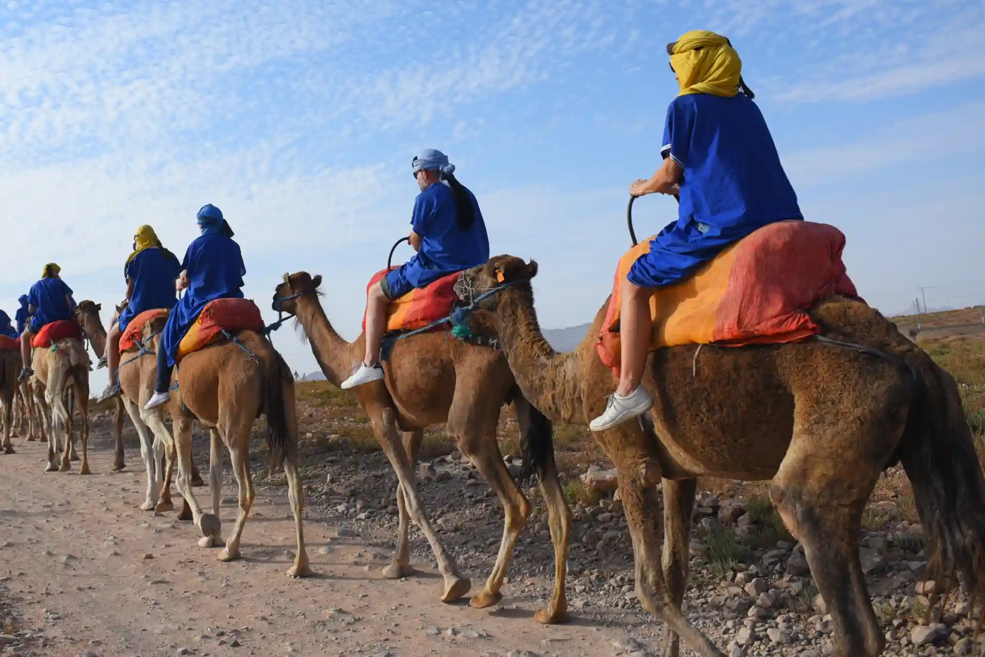 Balade à Dos de Chameau dans la Palmeraie de Marrakech