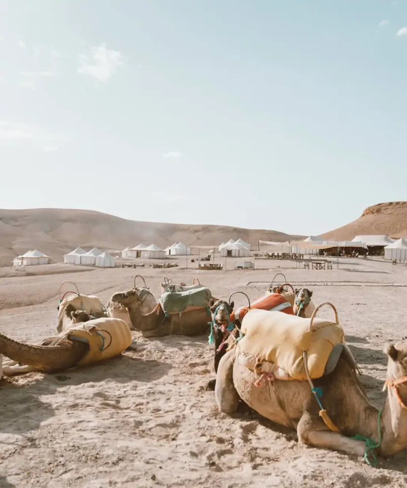 Désert d'Agafay – Marrakech