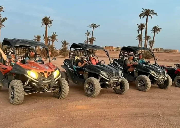 Expérience Unique Buggy et Balade à Dos de Chameau dans la Palmeraie de Marrakech