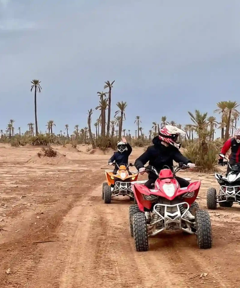 Palmeraie de Marrakech