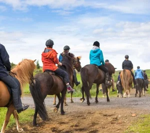 Balades à Cheval à Marrakech